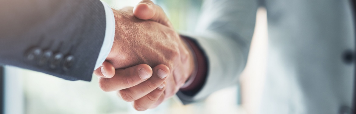 Two people shaking hands.