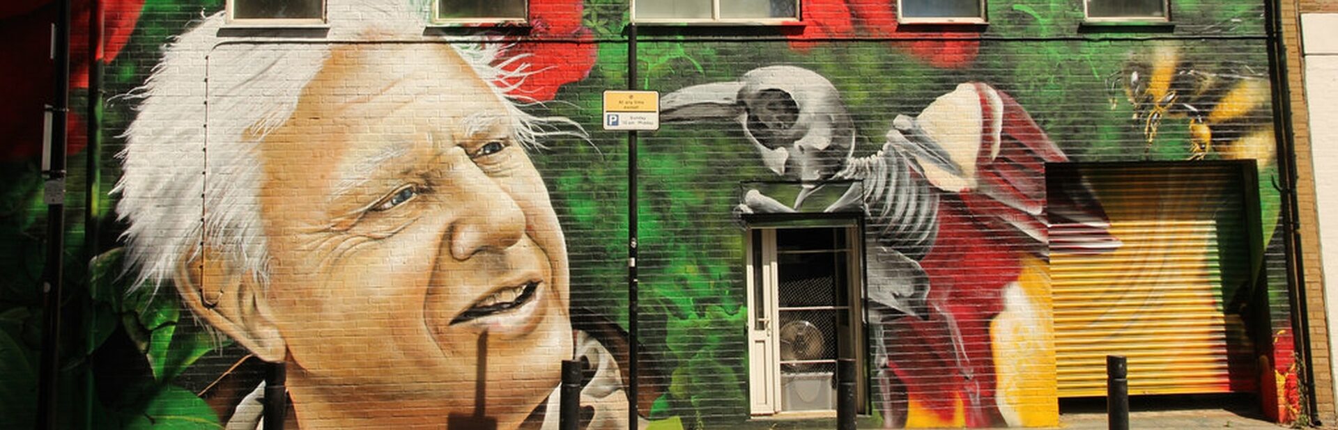A mural of David Attenborough.
